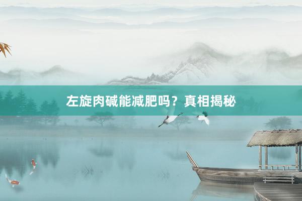 左旋肉碱能减肥吗？真相揭秘