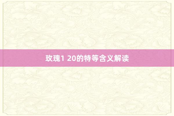 玫瑰1 20的特等含义解读